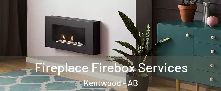 Fireplace Firebox Services Kentwood - AB