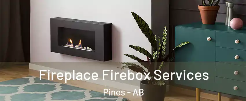  Fireplace Firebox Services Pines - AB