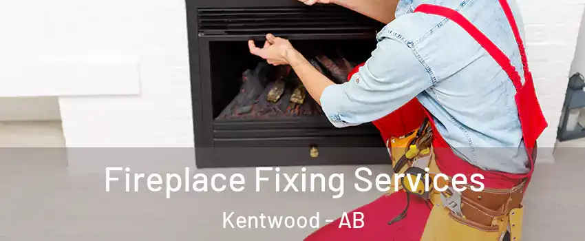Fireplace Fixing Services Kentwood - AB
