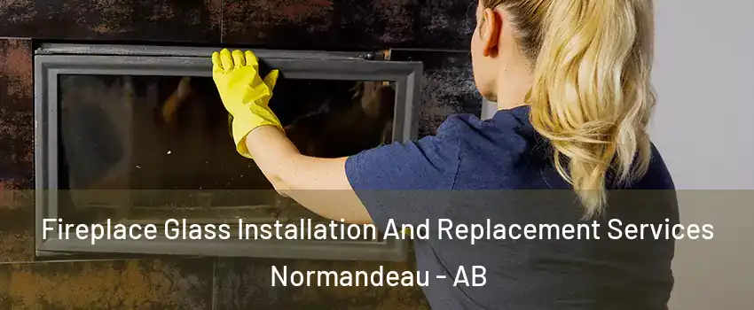 Fireplace Glass Installation And Replacement Services Normandeau - AB