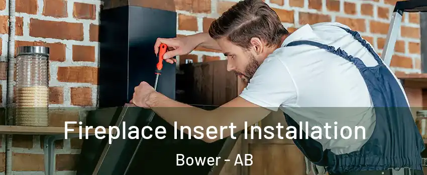  Fireplace Insert Installation Bower - AB