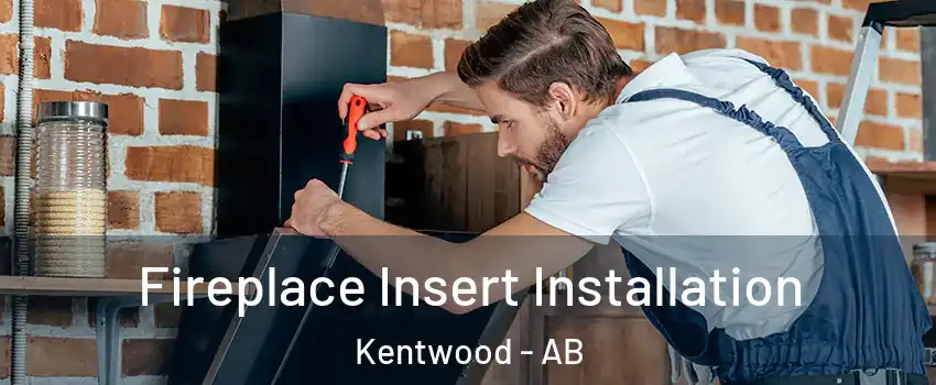 Fireplace Insert Installation Kentwood - AB