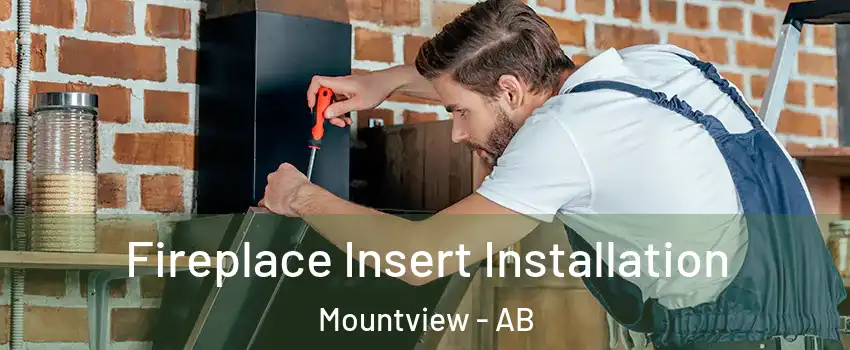  Fireplace Insert Installation Mountview - AB