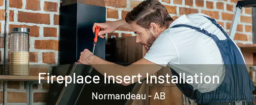 Fireplace Insert Installation Normandeau - AB