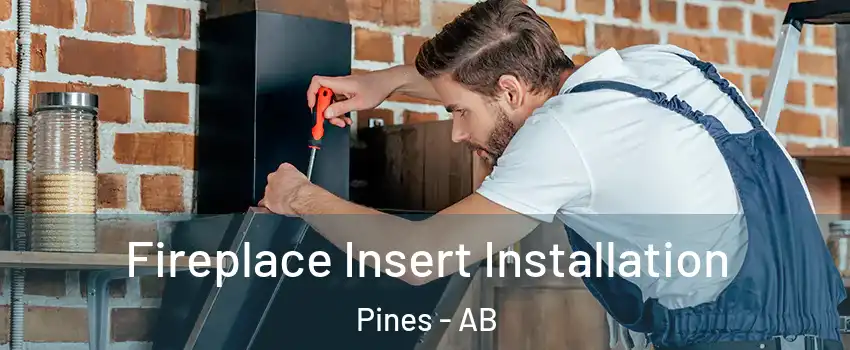  Fireplace Insert Installation Pines - AB