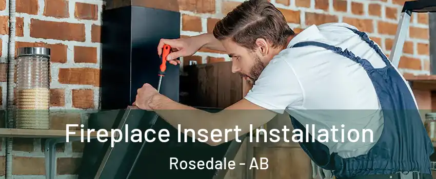 Fireplace Insert Installation Rosedale - AB