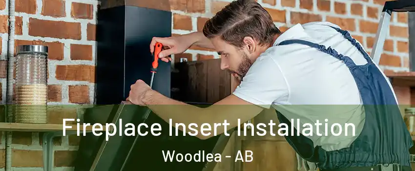 Fireplace Insert Installation Woodlea - AB