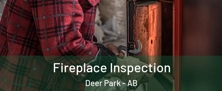 Fireplace Inspection Deer Park - AB