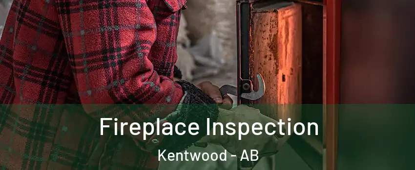 Fireplace Inspection Kentwood - AB