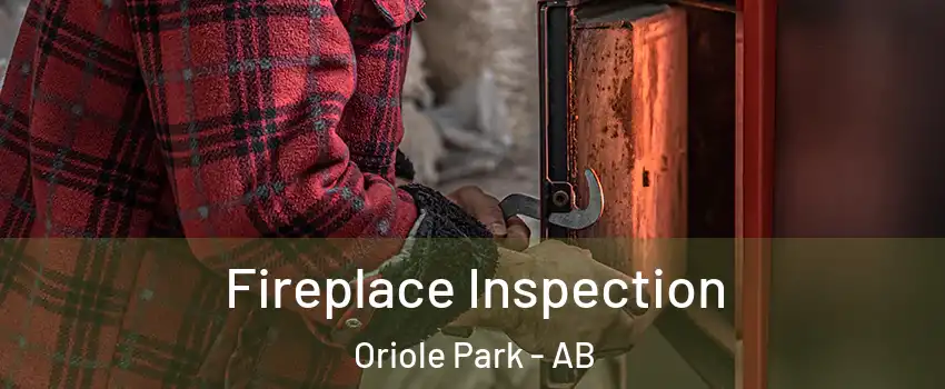 Fireplace Inspection Oriole Park - AB