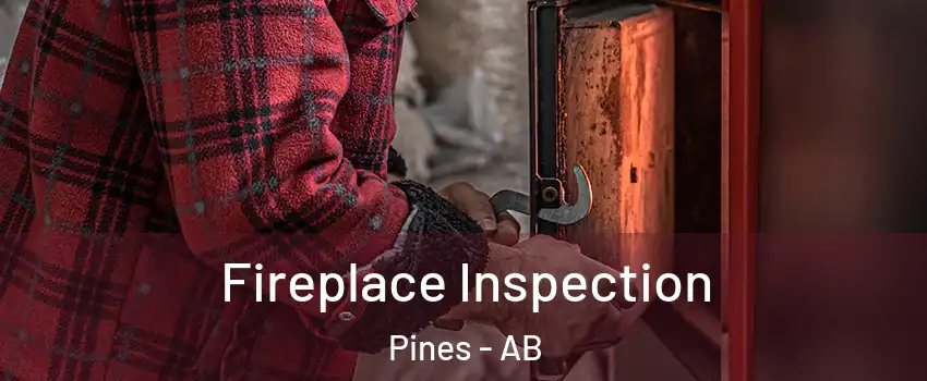 Fireplace Inspection Pines - AB