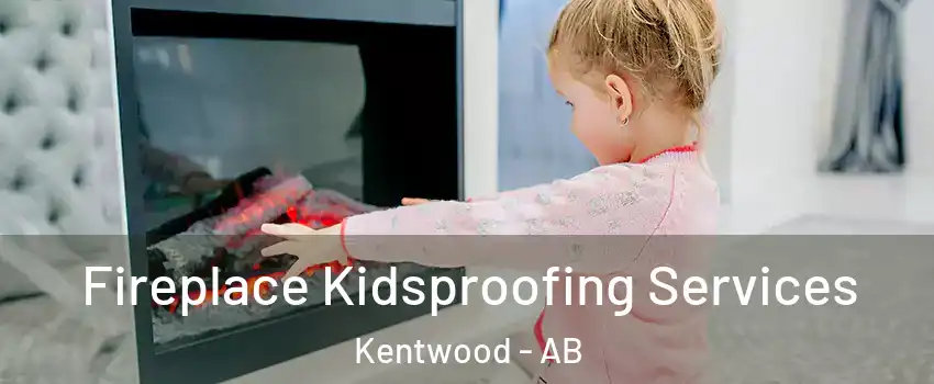 Fireplace Kidsproofing Services Kentwood - AB