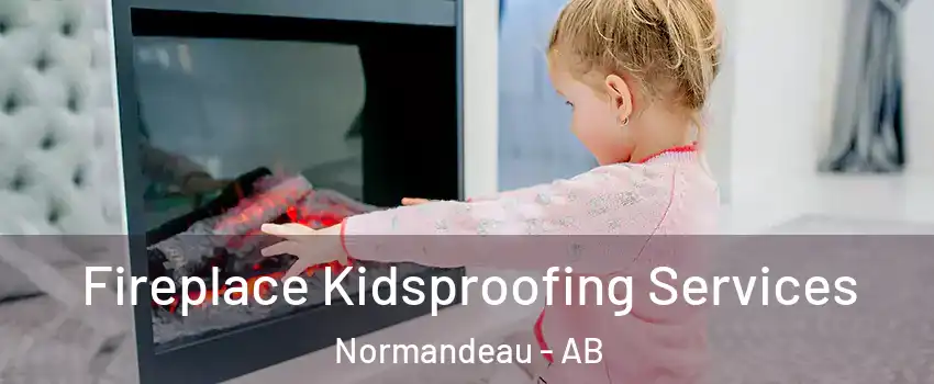 Fireplace Kidsproofing Services Normandeau - AB