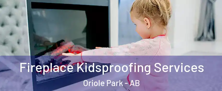  Fireplace Kidsproofing Services Oriole Park - AB