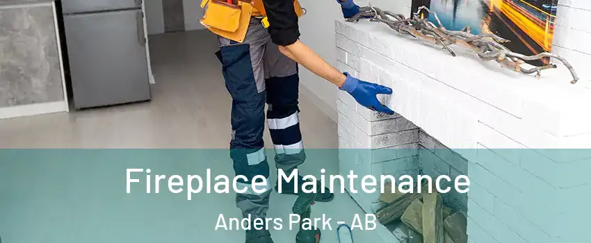 Fireplace Maintenance Anders Park - AB