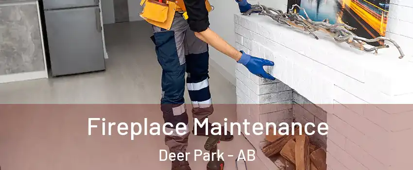  Fireplace Maintenance Deer Park - AB
