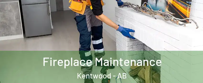Fireplace Maintenance Kentwood - AB