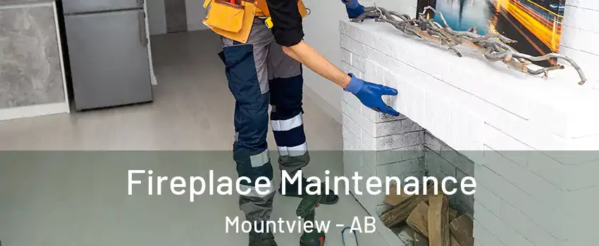 Fireplace Maintenance Mountview - AB