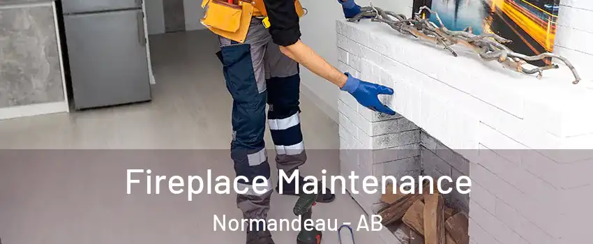  Fireplace Maintenance Normandeau - AB