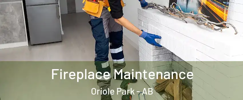 Fireplace Maintenance Oriole Park - AB