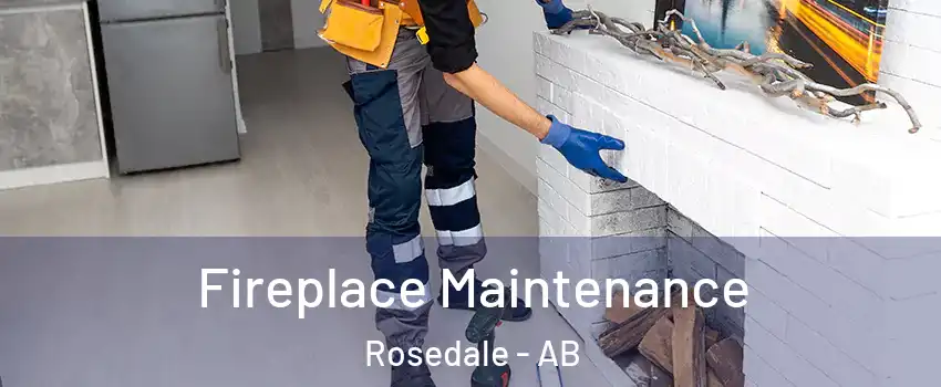 Fireplace Maintenance Rosedale - AB