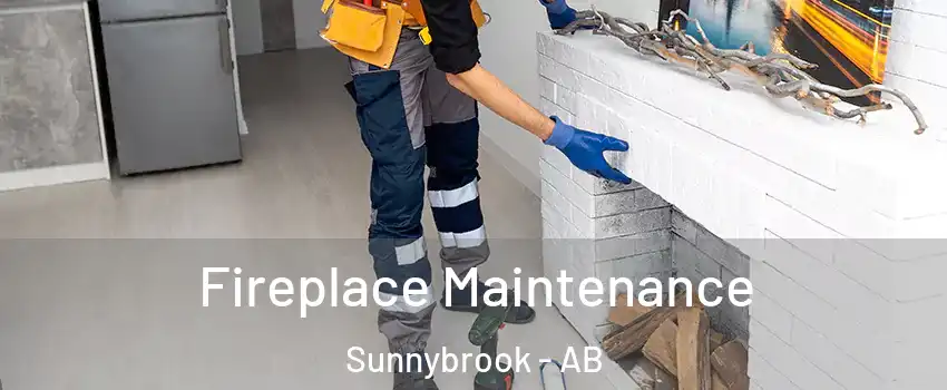 Fireplace Maintenance Sunnybrook - AB