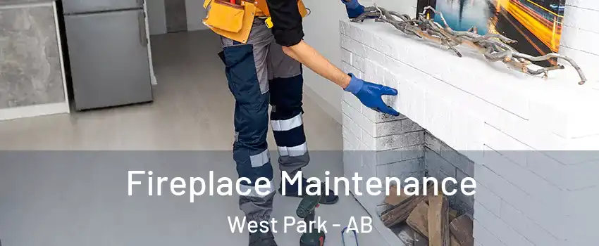 Fireplace Maintenance West Park - AB
