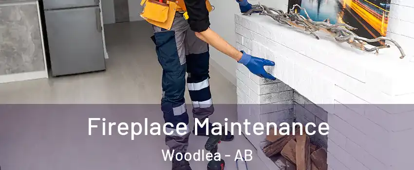  Fireplace Maintenance Woodlea - AB