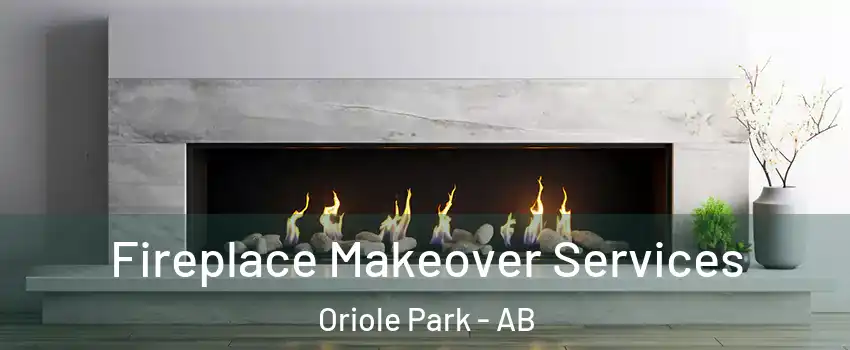 Fireplace Makeover Services Oriole Park - AB