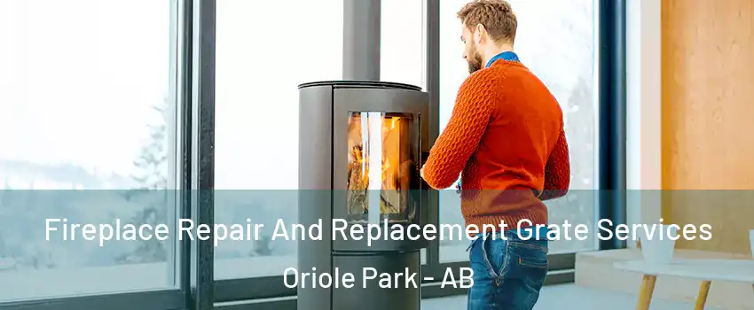 Fireplace Repair And Replacement Grate Services Oriole Park - AB