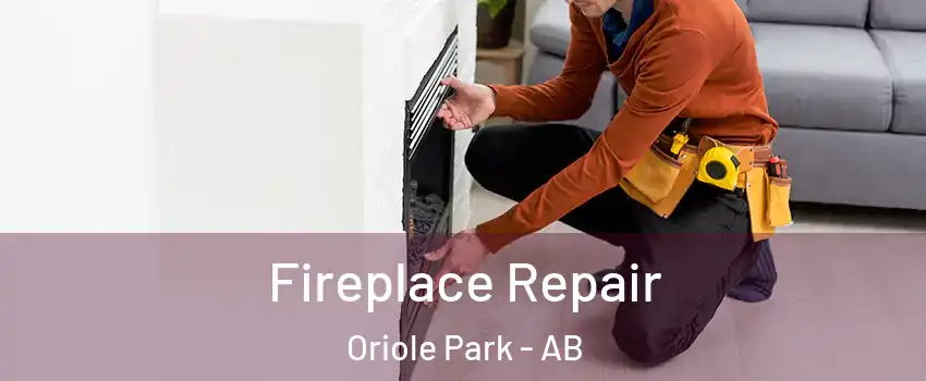 Fireplace Repair Oriole Park - AB