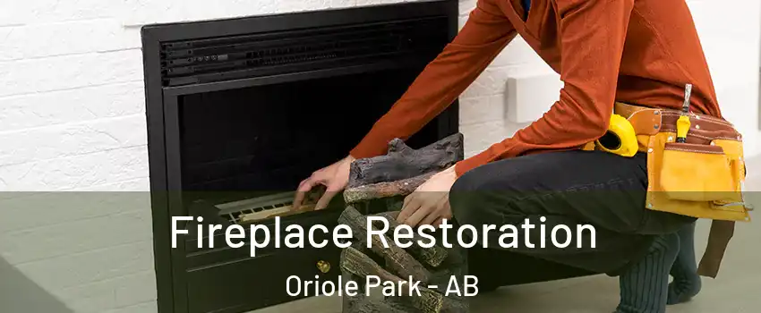 Fireplace Restoration Oriole Park - AB