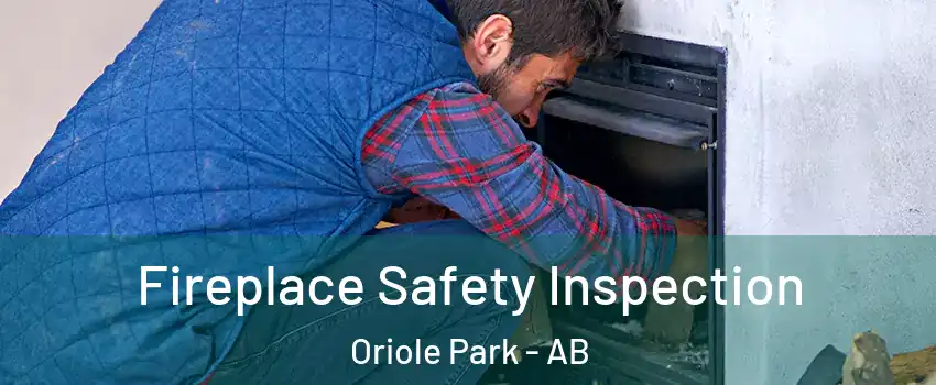  Fireplace Safety Inspection Oriole Park - AB