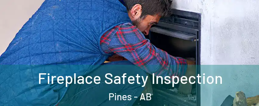  Fireplace Safety Inspection Pines - AB