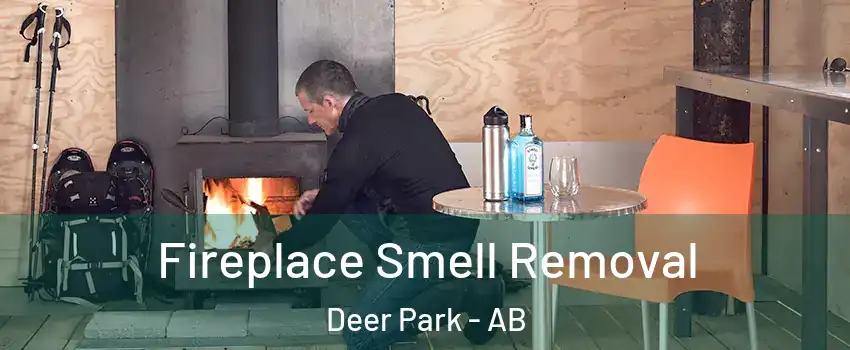 Fireplace Smell Removal Deer Park - AB