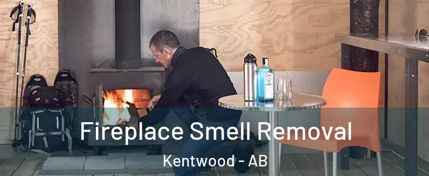 Fireplace Smell Removal Kentwood - AB