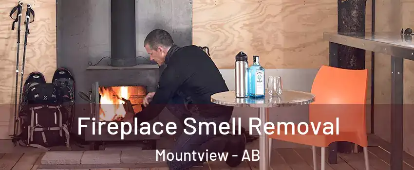 Fireplace Smell Removal Mountview - AB