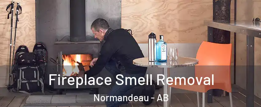 Fireplace Smell Removal Normandeau - AB