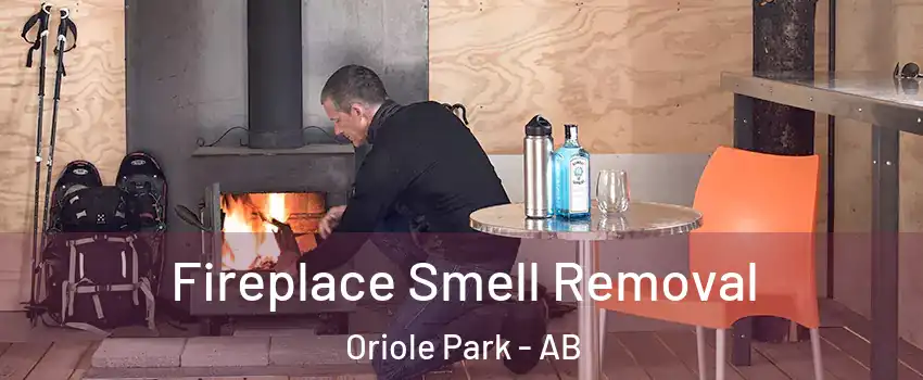 Fireplace Smell Removal Oriole Park - AB