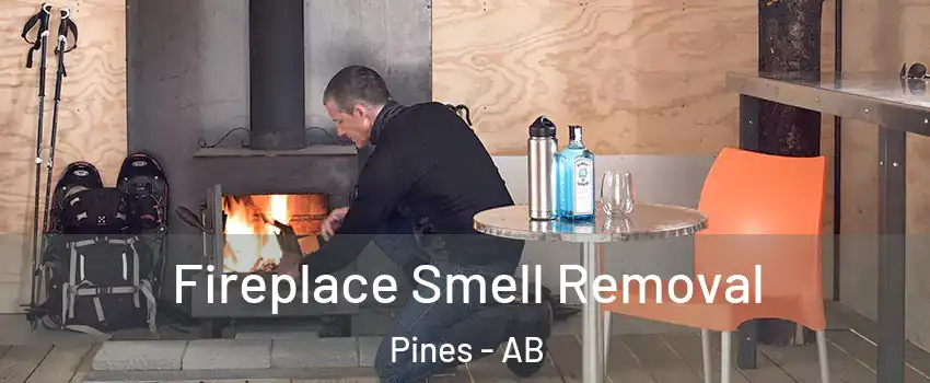 Fireplace Smell Removal Pines - AB