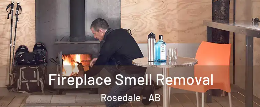 Fireplace Smell Removal Rosedale - AB