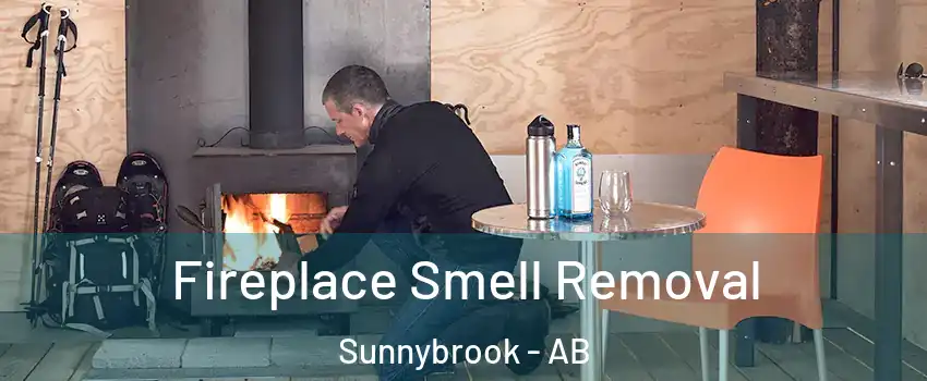 Fireplace Smell Removal Sunnybrook - AB