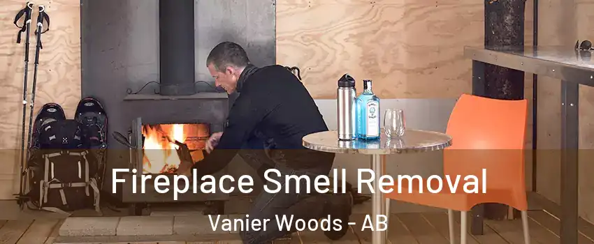 Fireplace Smell Removal Vanier Woods - AB