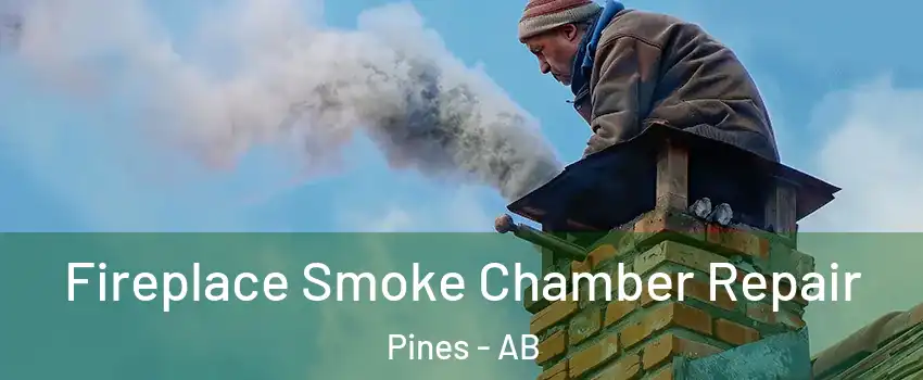 Fireplace Smoke Chamber Repair Pines - AB