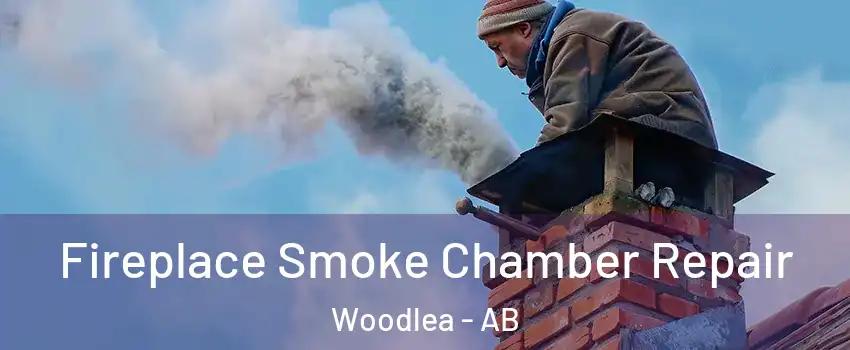 Fireplace Smoke Chamber Repair Woodlea - AB
