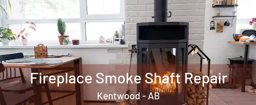 Fireplace Smoke Shaft Repair Kentwood - AB