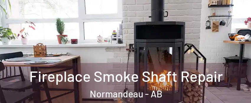 Fireplace Smoke Shaft Repair Normandeau - AB