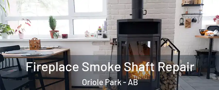 Fireplace Smoke Shaft Repair Oriole Park - AB
