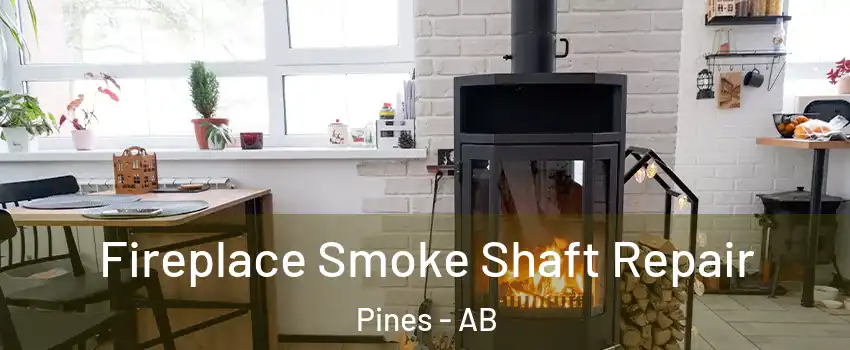 Fireplace Smoke Shaft Repair Pines - AB