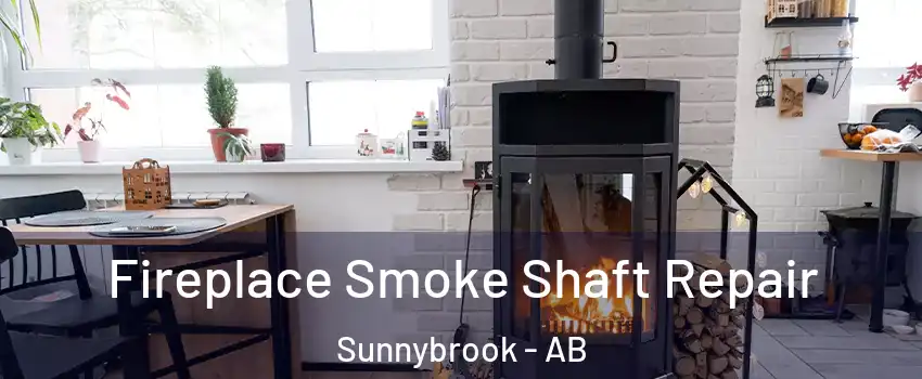 Fireplace Smoke Shaft Repair Sunnybrook - AB